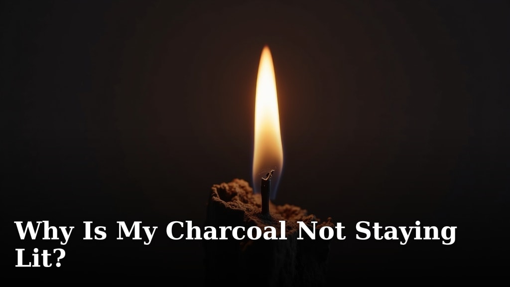 Why Is My Charcoal Not Staying Lit?